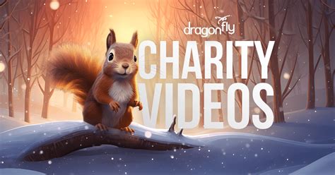 charity video production company|Charity Video Production .